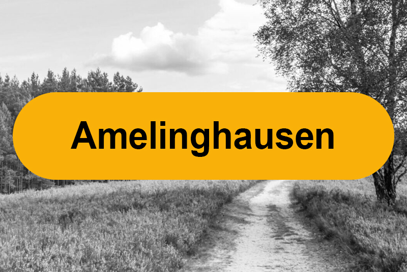 Linkbanner Amelinghausen