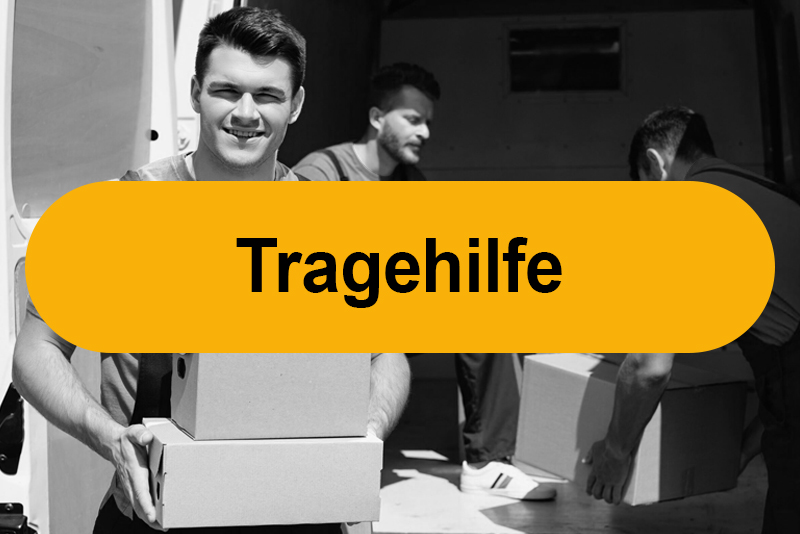 Linkbanner Tragehilfe